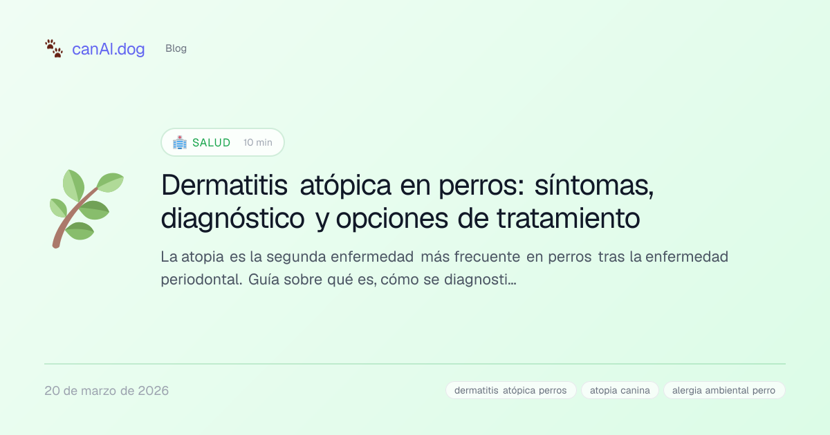 Dermatitis atópica en perros: síntomas, diagnóstico y opciones de ...
